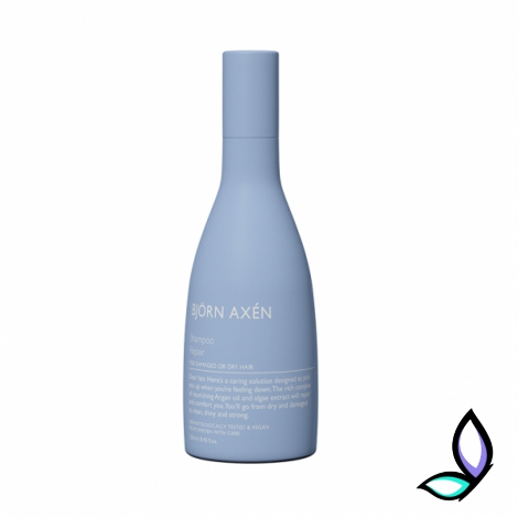 Відновлюючий шампунь для волосся Björn Axen Repair Shampoo 250 мл. - Фото