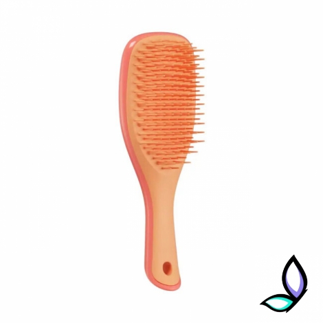 Щітка для волосся Tangle Teezer The Ultimate Detangler Mini Salmon Pink & Apricot - Фото