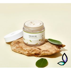 Поживний крем з екстрактом чорних соєвих бобів Round Lab Soybean Nourishing Cream